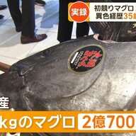 異色経歴の社長が挑む！初競りマグロを通じて感じる幸せ